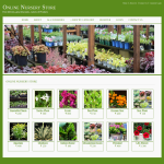 Online Nursery Store Report Synopsis Source Code