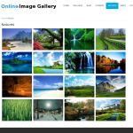 Online Image Gallery Report Synopsis Source Code