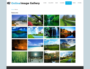 Online Image Gallery Report Synopsis Source Code