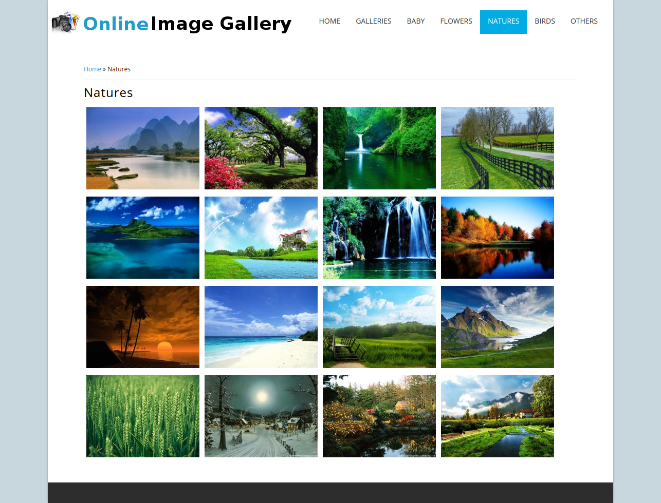 Online Image Gallery- PHP Web Development Project