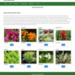 Online Nursery Store Mini Project Report Synopsis Source Code